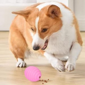 Dog playing with pink treat dispensing rubber pet ball toy